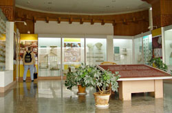 An exhibition room at the Yunnan Nationalities Museum