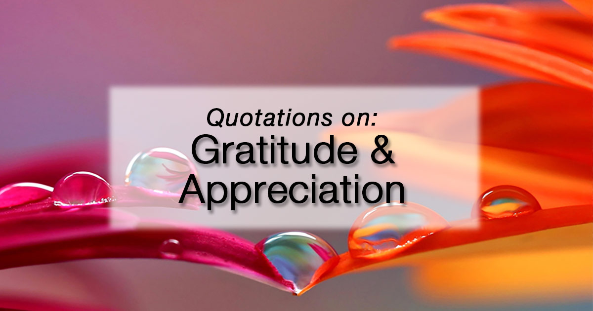 Quotations On the Theme of Gratitude and Appreciation | Daisaku Ikeda ...