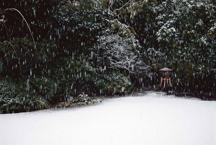 <b></b> 日本，东京 (1987年12月)