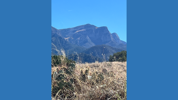 榮休教授薩拉・維德在美國創價大學發表題為「對話的詩心：池田大作的激勵之道」的演講。