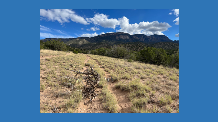 榮休教授薩拉・維德在美國創價大學發表題為「對話的詩心：池田大作的激勵之道」的演講。