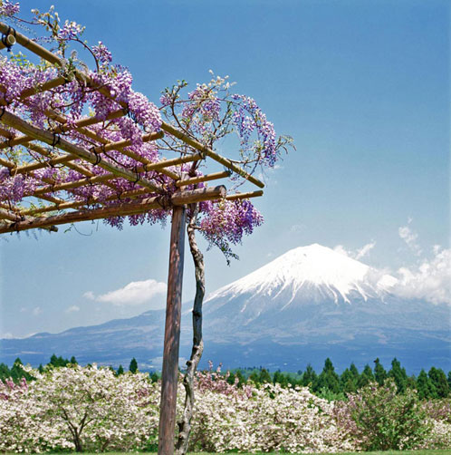 <b></b> Monte Fuji, Japón (Mayo 1989)