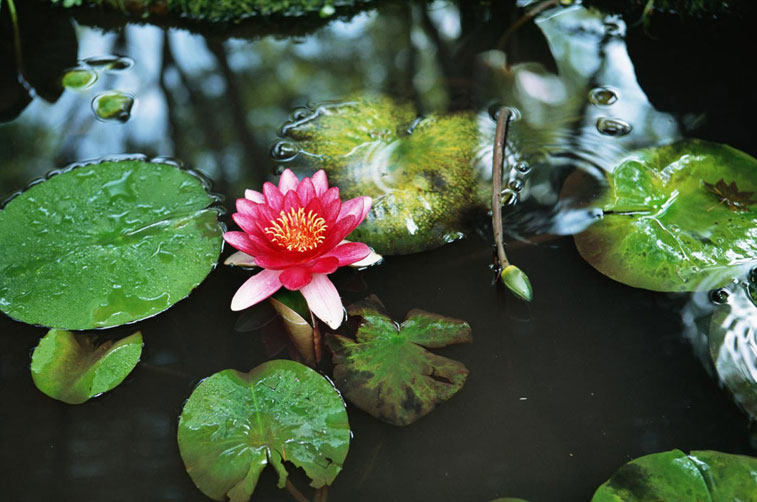 <b></b> Nagano, Japón (Junio 2005)