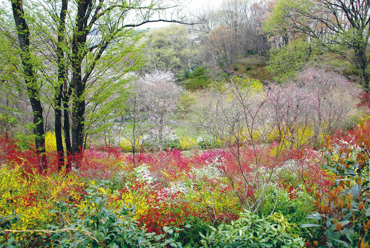 <b></b> Tokio, Japón (Abril 2007)