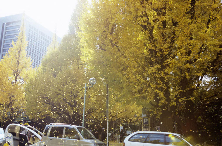 <b></b> Tokio, Japón (Noviembre 2005)