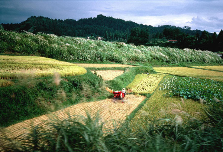 <b></b> Niigata, Japón (Septiembre 1985)