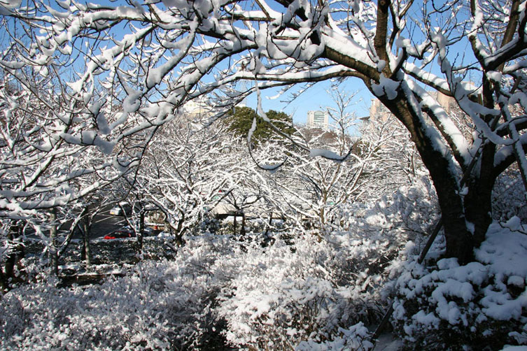 <b></b> Tokio, Japón (Enero 2006)