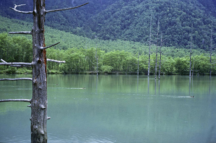 <b></b> Nagano, Japón (Agosto 1982)