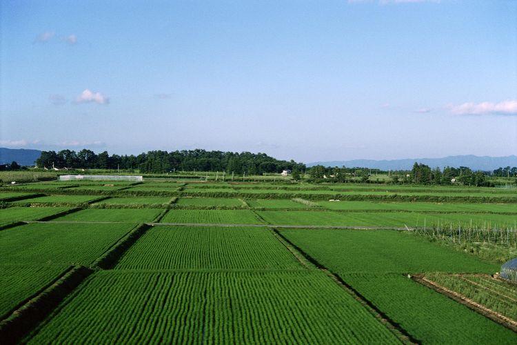 <b></b> Tohoku, Japón (Julio 1987)