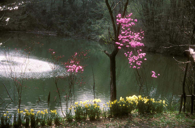 <b></b> Tokio, Japón (Abril 1985)