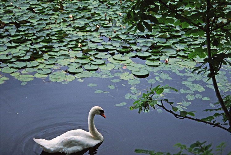 <b></b> Hokkaido, Japón (Julio 1987)