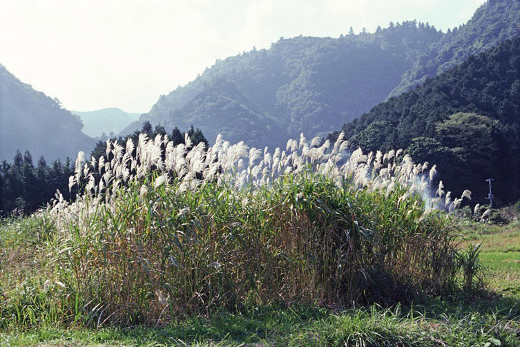 <b></b> Shizuoka, Japón (Octubre 1993)