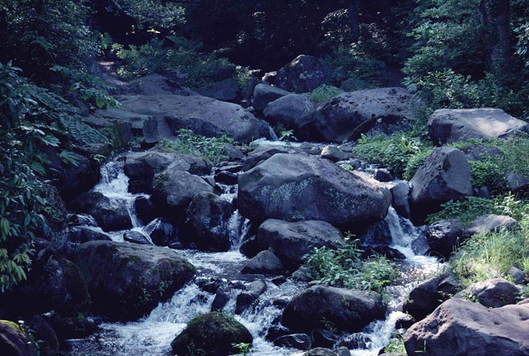 <b></b> Shizuoka, Japón (Junio 1988)