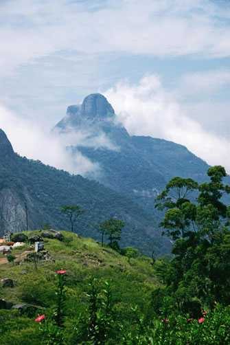 <b></b> Río de Janeiro, Brasil (Febrero 1993)