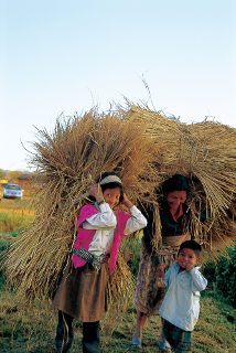 Katmandú, Nepal (Noviembre 1995)