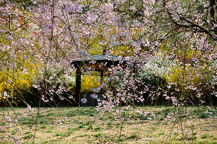 <b></b> Tokyo, Japan (April 2001)