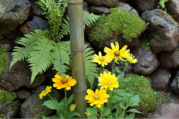 <b></b> Nagano Prefecture, Japan (August 2005)