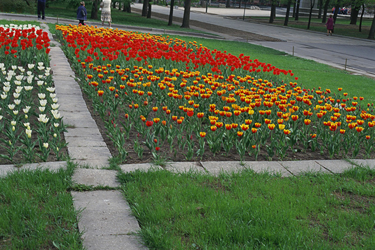 <b></b> Moscow, Russia (May 1994)