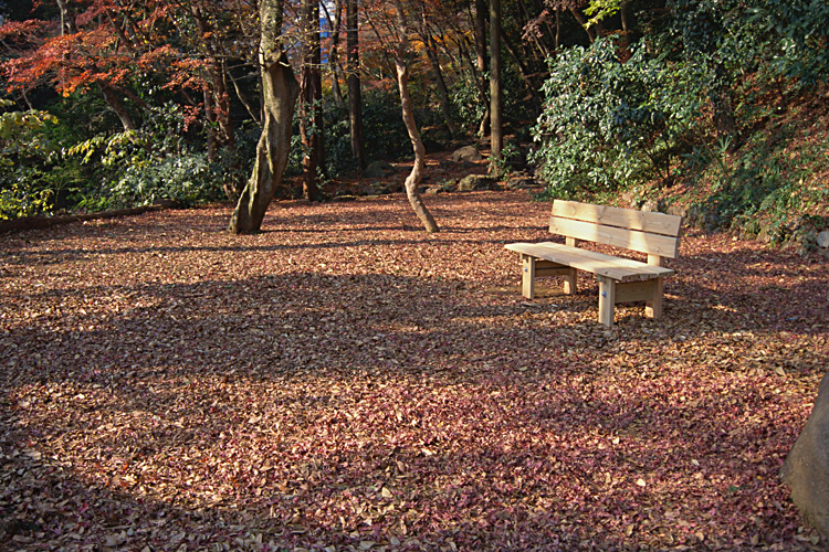 <b></b> Shizuoka Prefecture, Japan (December 1994)