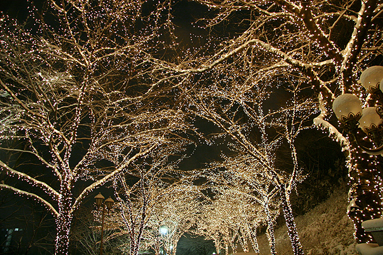 <b></b> Tokyo, Japan (January 2006) 