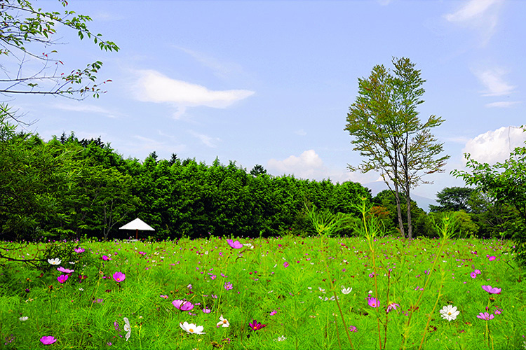 <b></b> Nagano Prefecture, Japan (August 2008)