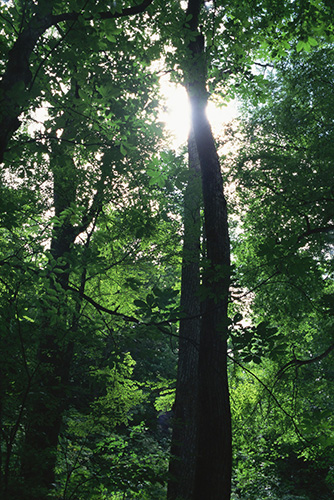 <b></b> Aomori Prefecture, Japan (August 1994)