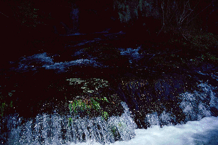 <b></b> Kagoshima Prefecture, Japan (September 1990)