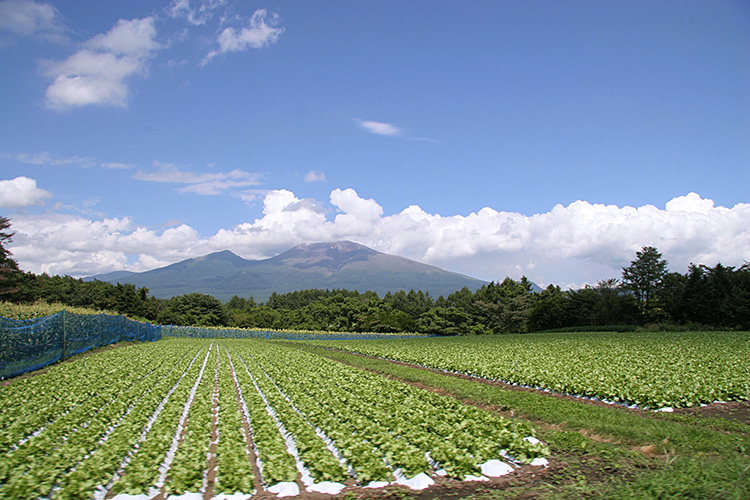 <b></b> Nagano Prefecture, Japan (August 2005)