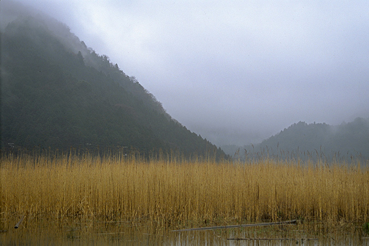 <b></b> Shizuoka Prefecture, Japan (March 1994)