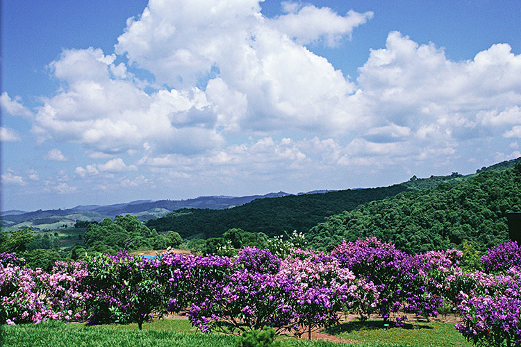 <b></b> Itapevi, Brazil (March 1993)