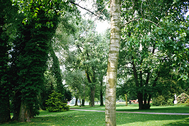 <b></b> Zurich, Switzerland (June 1983)