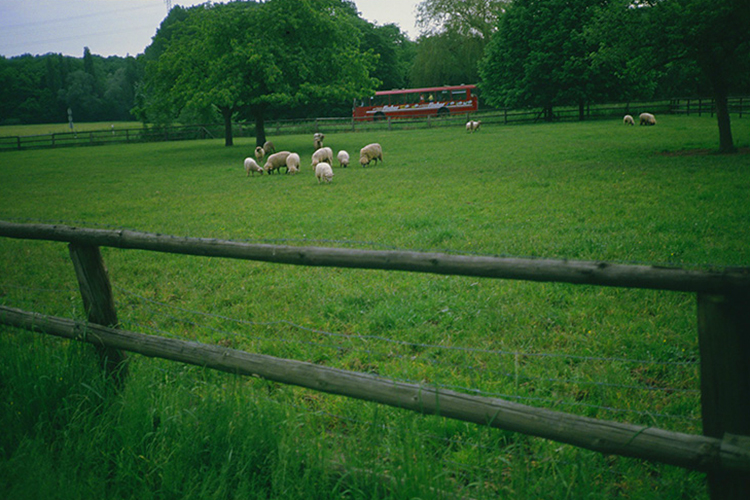 <b></b> Frankfurt, Germany (June 1983)