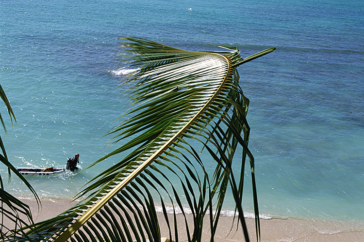 <b></b> Hawaii, USA (January 1995)