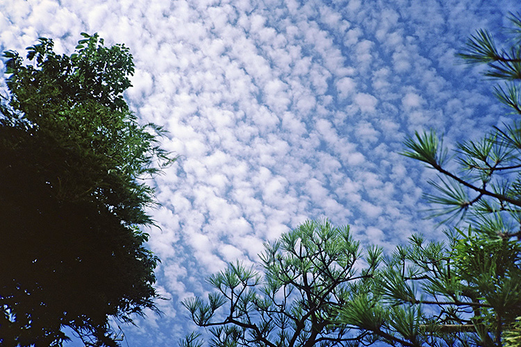 <b></b> Ishikawa Prefecture, Japan (August 1984)